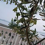 Anderr * Саранда