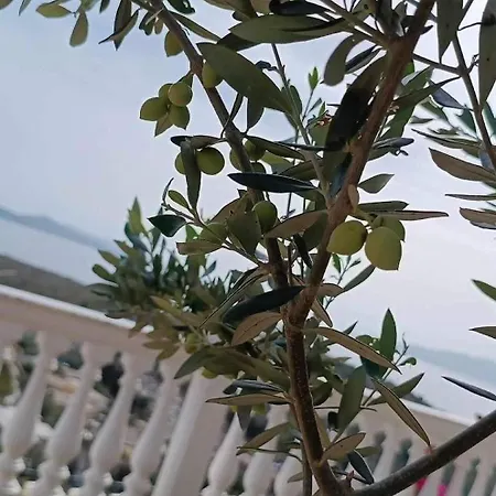 Anderr * Sarandë